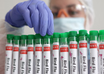 First human case of bird flu not linked to animals reported in the US