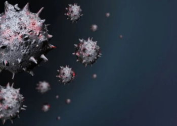 What is wetland virus? New virus discovered in China capable of affecting the brain