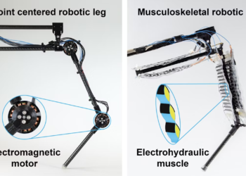 Robotics breakthrough: First robotic leg with "artificial muscles" mimics human agility