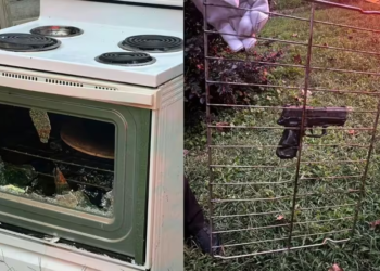 Virginia authorities issue urgent warning after gun stored in oven fires multiple rounds