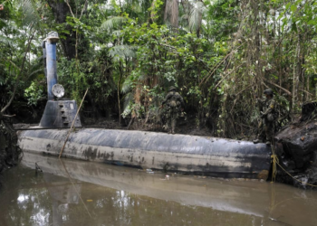 Record amount of cocaine discovered in South American jungle weeks after “narco sub” was found nearby