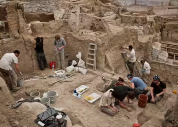 26,000-year-old human and animal footprints unearthed in Spain
