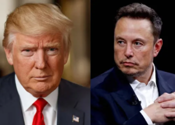 Elon Musk shares video of Haitian woman, supports Trump’s ‘eating pets’ claim