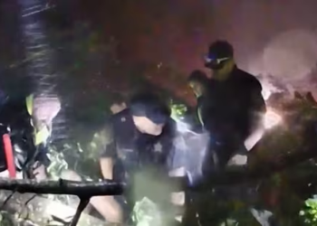 Watch: Louisiana woman trapped under fallen tree during Hurricane Francine rescued in harrowing video