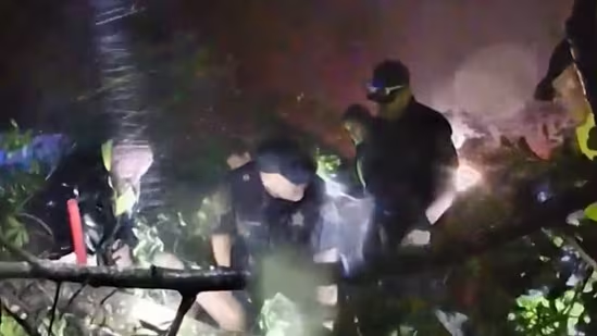 Watch: Louisiana woman trapped under fallen tree during Hurricane ...