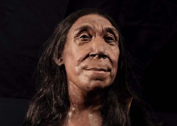 Ancient cave discovery in France sheds light on Neanderthal extinction