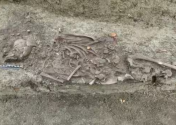 Poland: Archaeologists discover decapitated child from 'vampire' grave beneath a cathedral
