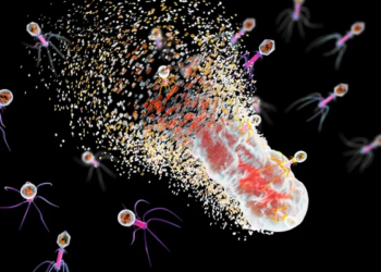 Nearly 40 million people could die due to superbugs by 2050, study warns