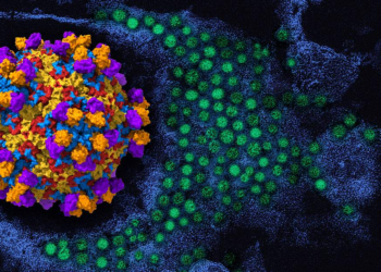 Alarm bells ring as virus that causes paralyzing illness surges across U.S., wastewater data reveals