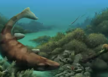 Sea monster lived 85 million years ago on Texas land that was once an ocean