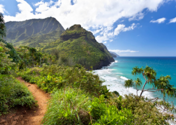 Norovirus outbreak forces closure of iconic Hawaii trail after 50 hikers fall sick