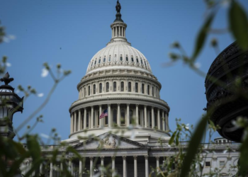 New York man sentenced to 13 months for 12,000 harassing calls to lawmakers