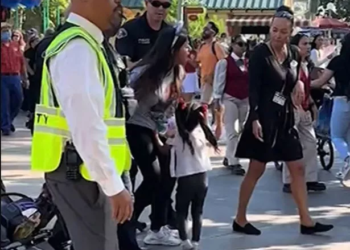 Watch: Woman arrested at Disneyland California Adventure Park for sneaking her kids in without valid tickets
