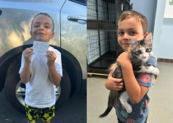 Rhode Island boy starts poop-scooping business to fund kitten adoption