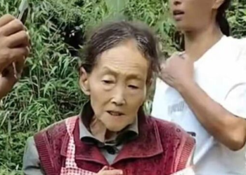 China: 77-year-old grandmother fights off wild boar with farming knife in terrifying encounter
