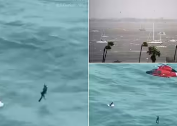 Watch: Dramatic rescue amid Hurricane Milton as man clings to ice box 48km off Florida coast
