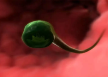 Woman develops brain lesions after eating tapeworm eggs for weight loss