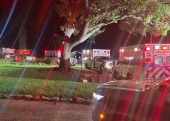 Pennsylvania: Eleven members of Amish family rushed to hospital after consuming toxic mushrooms