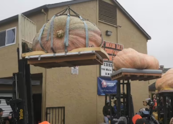 Massive 2,471-pound pumpkin wins world championship in California