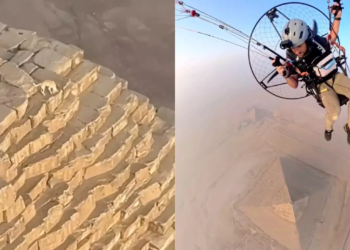 Watch: Paraglider captures bizarre scene of a dog chasing birds atop the Great Pyramid of Giza