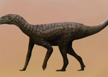 Major breakthrough: Scientists discover one of the oldest dinosaur fossils