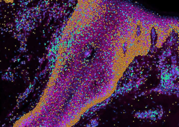 Scientists create first ever map of human skin, It could revolutionize dermatology