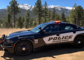Colorado: Elderly man with dementia loses home to squatters, who start illegal mushroom-growing operation inside