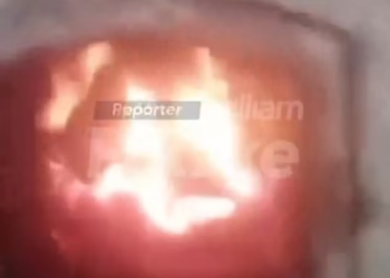 Teenager films himself throwing puppies into burning furnace in shocking case of animal cruelty in Brazil