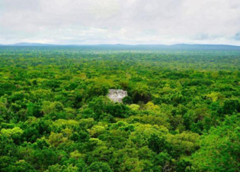 Researcher finds finds lost city in Mexico jungle by accident