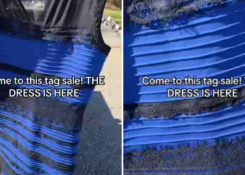Vermont: Iconic optical illusion dress discovered at a yard sale, goes viral again