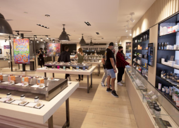 California pot shops to serve food and drinks under new bill