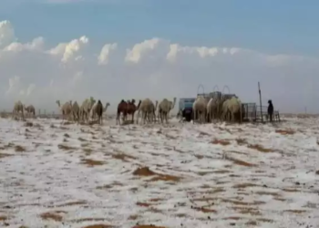 Watch: Saudi Arabian desert sees snowfall for the first time in history