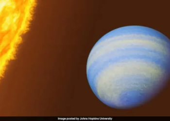 Newly discovered Earth-like planet may hold insights for humanity's survival