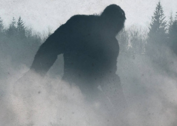 Connecticut resident reports hairy giant Bigfoot sighting and eerie screams