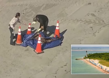 Human head found on Florida beach sparks major police investigation