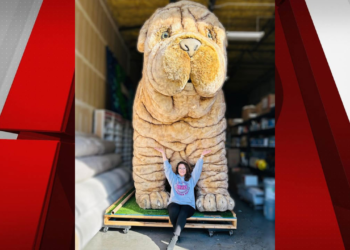 Las Vegas charity seeks justice after theft of beloved 700-pound stuffed dog mascot