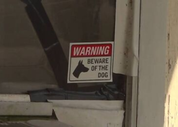 Louisiana: Elderly woman ‘eaten’ by neighbor’s pack of dogs: Community voices safety concerns