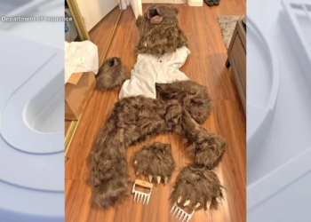 Operation Bear Claw: LA residents arrested for using bear costume to stage car attacks in insurance scam