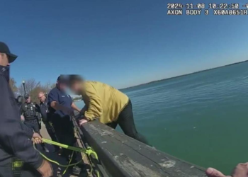 Wyandotte woman jumps into Detroit River to save dog from drowning, gets arrested for being drunk