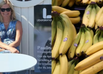 Swedish Minister's bananaphobia sparks 'banana-free' zones on official visits