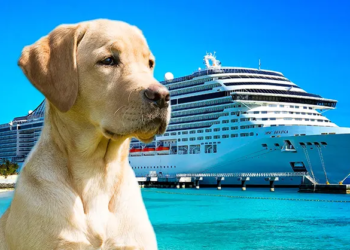 First ever dog-friendly cruise to set sail from Tampa in 2025