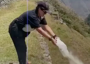 Machu Picchu security enhanced after tourists caught spreading human ashes