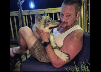 Massachusetts animal control officer fatally shoots pet dog, mistaken for coyote