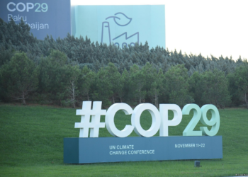 COP29 avoids collapse with historic $300 billion climate finance agreement