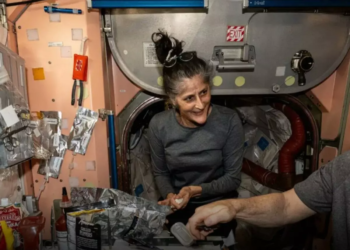 Toxic smell reported on Sunita Williams-led cargo spacecraft, NASA investigates