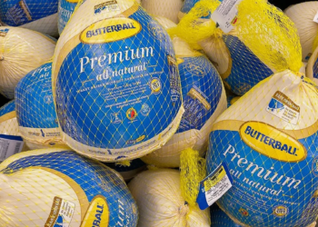 Butterball faces nationwide Thanksgiving turkey boycott as disturbing animal abuse allegations resurface