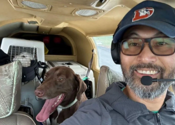 New York: Pilot famed for rescuing animals killed in crash while transporting rescue dogs