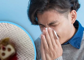 Medical mystery: Man discovers 2 cm dice stuck in nose for two decades