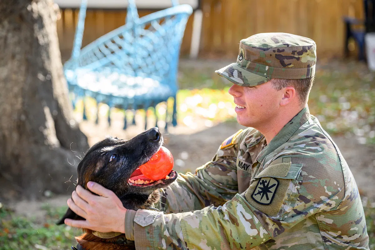 US Army soldier reunites with former K-9 partner after two years apart ...