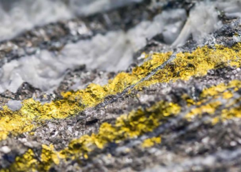 World's largest gold reserve worth $83 billion discovered in China